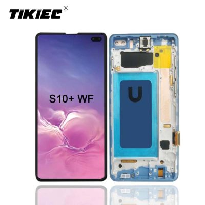 SAMSUNG S10+ WF LCD